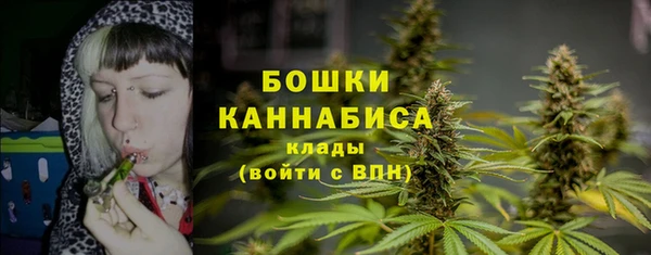 индика Протвино