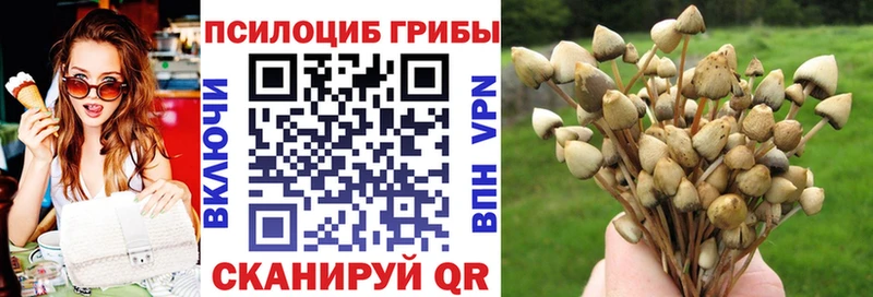 цены   Елизаветинская  Псилоцибиновые грибы мухоморы 